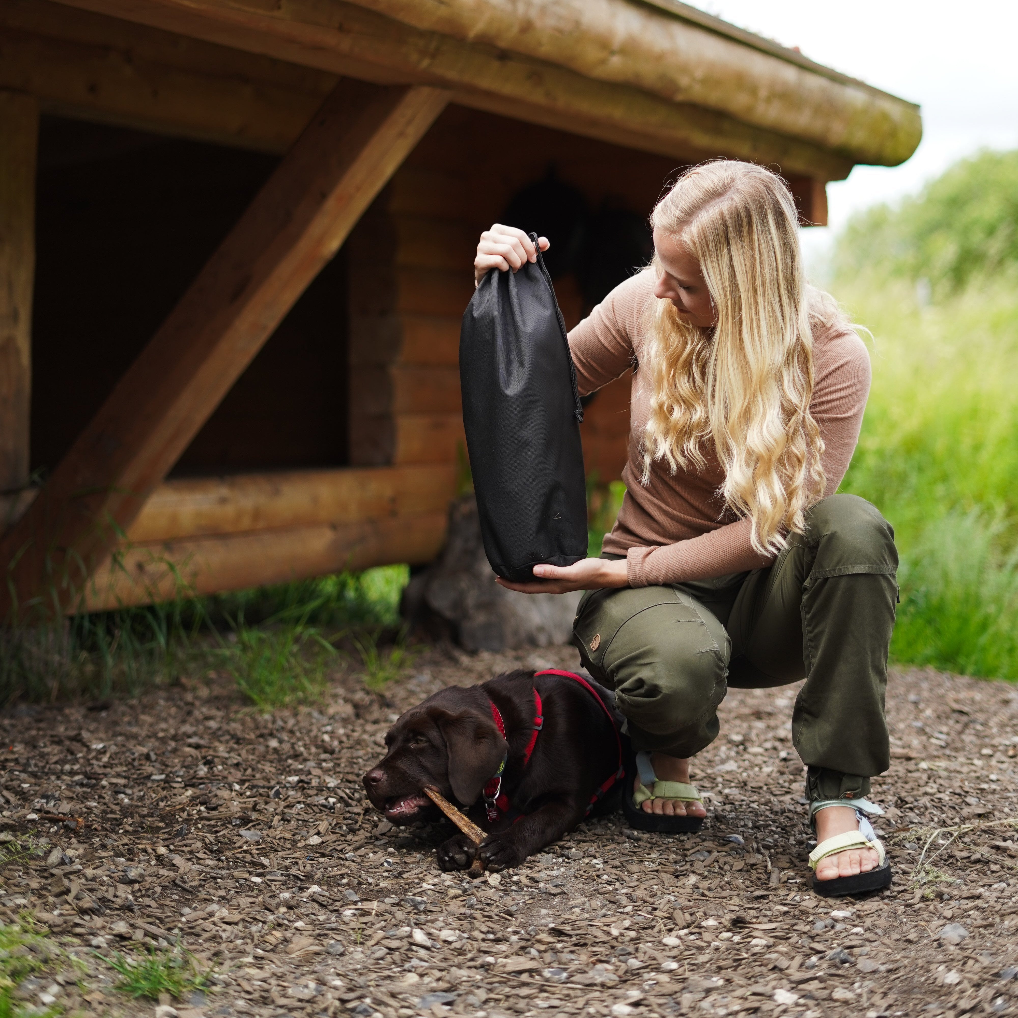 Alive: Outdoor Foldestol Nordic Gear