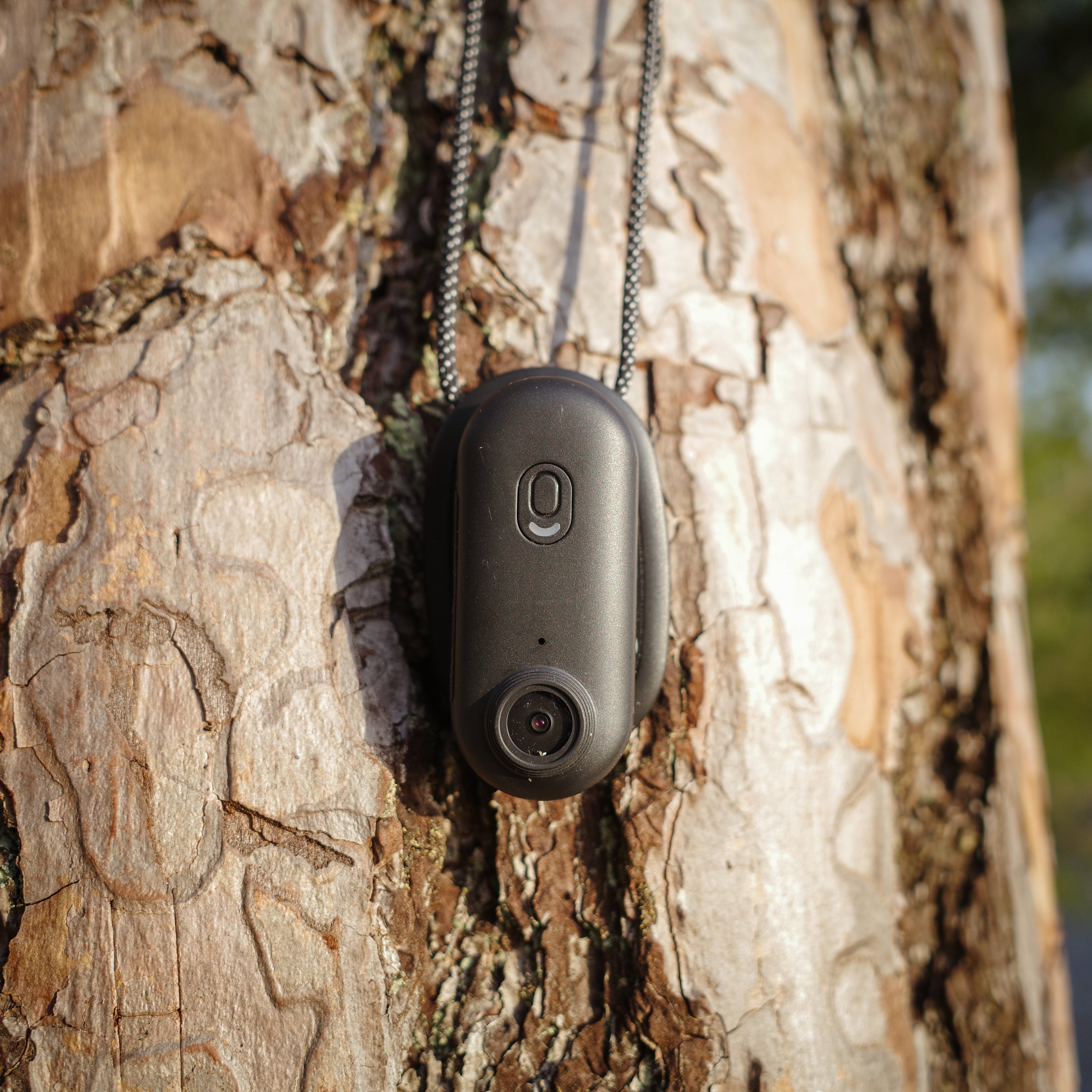 Nordic Gear Kamera Pro Nordic Gear