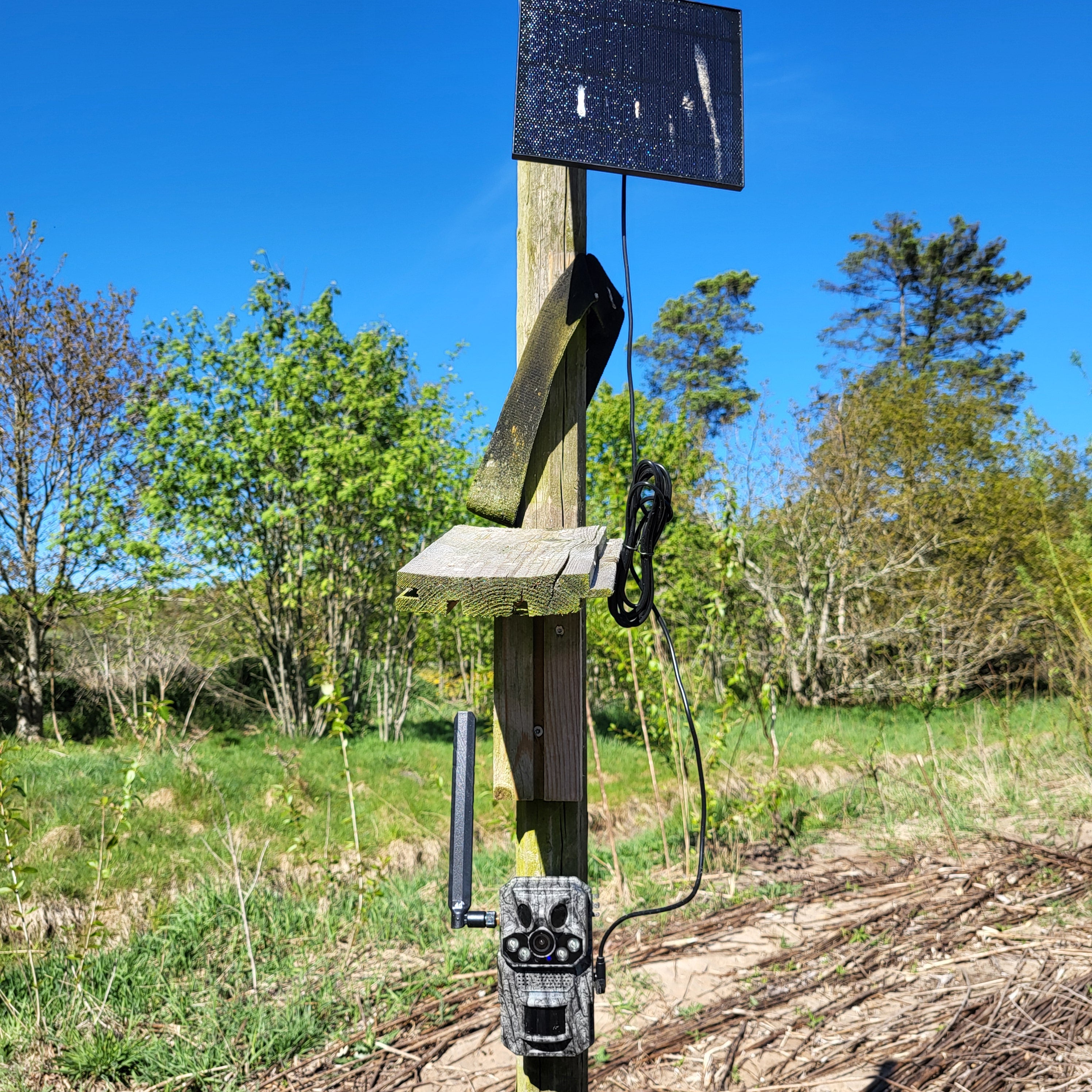 Vildtkamera med app, wifi og solceller