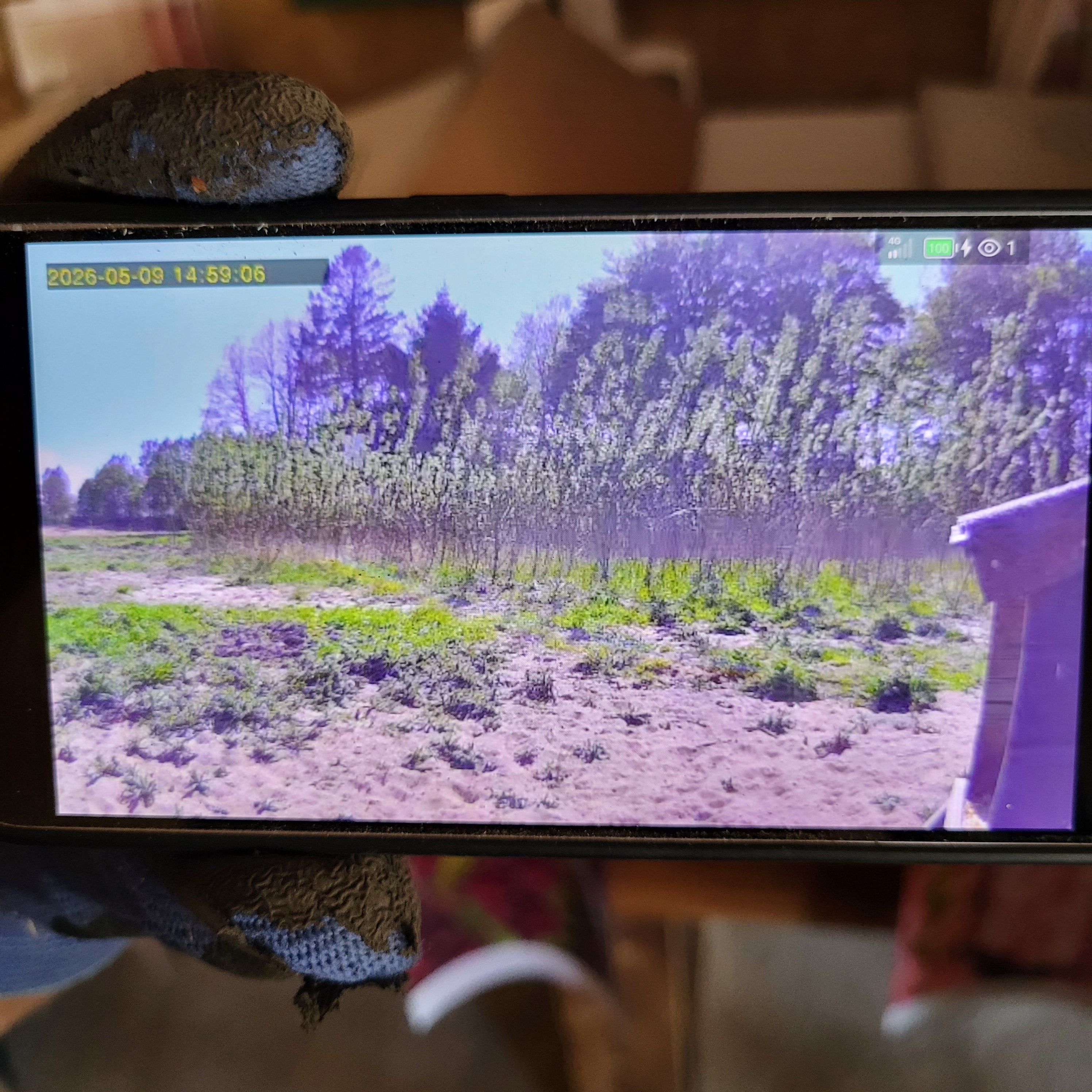 Vildtkamera med app, wifi og solceller